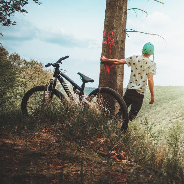 Rowery i przyczepki rowerowe